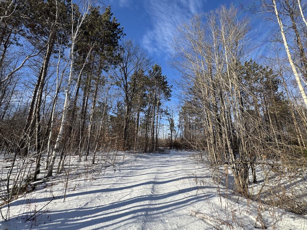 72-acres West Miller Road Mio, MI 48647 - Photo 33 of 65 IMG_9262