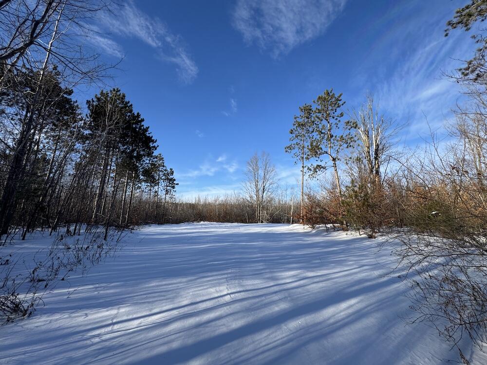 72-acres West Miller Road Mio, MI 48647 - Photo 35 of 65 IMG_9264
