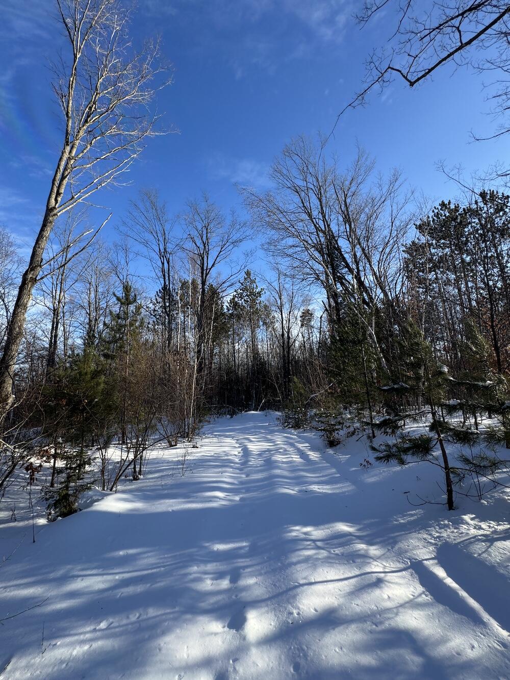 72-acres West Miller Road Mio, MI 48647 - Photo 39 of 65 IMG_9268
