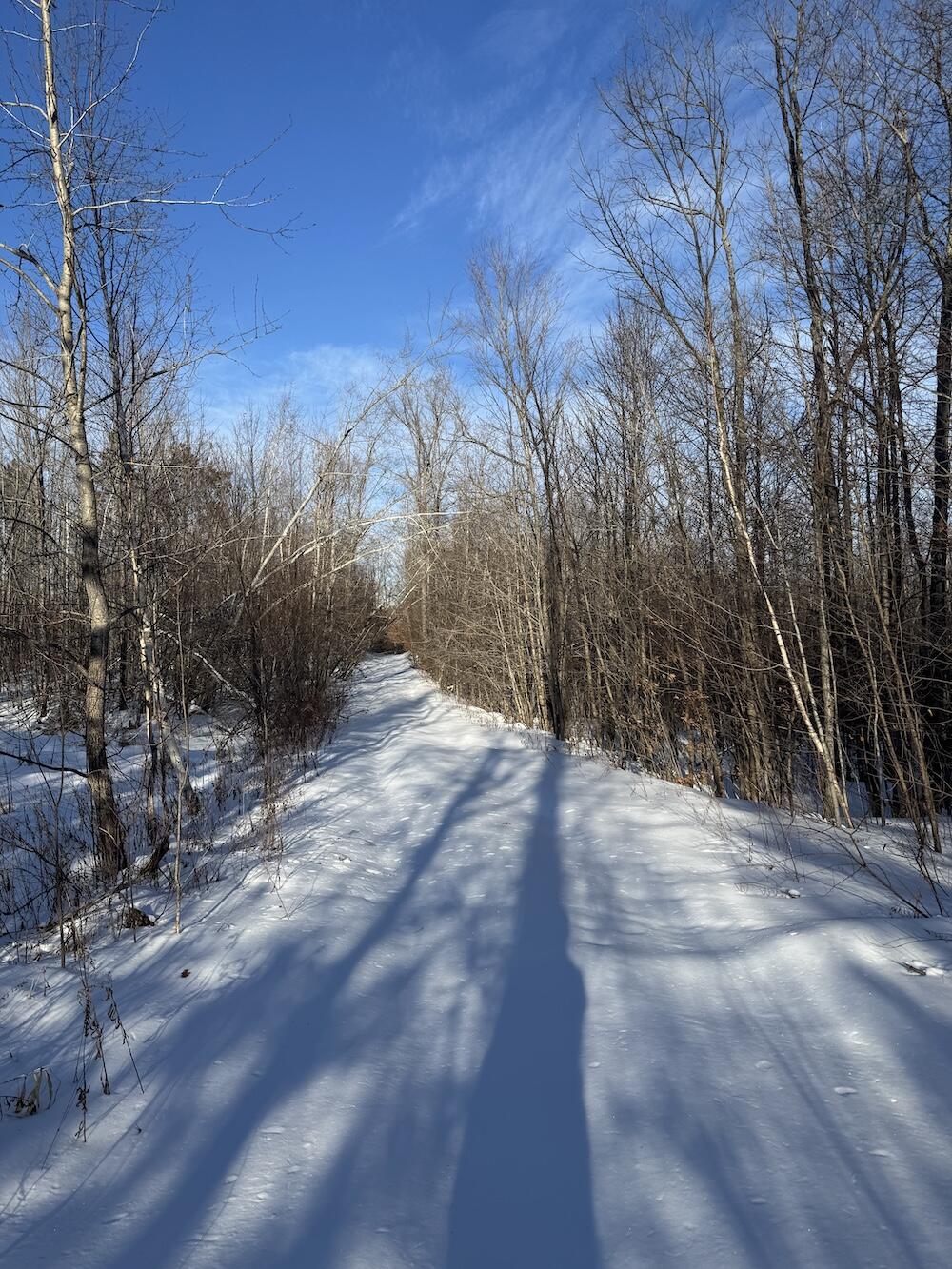 72-acres West Miller Road Mio, MI 48647 - Photo 40 of 65 IMG_9269