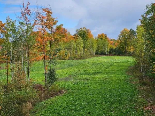 $239,000 | 72-acres West Miller Road, Mio, MI 48647
