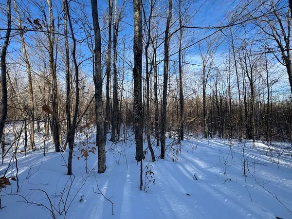 $239,000 | 72-acres West Miller Road, Mio, MI 48647