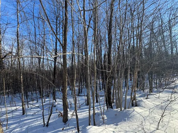 $239,000 | 72-acres West Miller Road, Mio, MI 48647