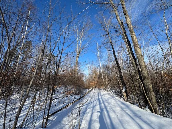$239,000 | 72-acres West Miller Road, Mio, MI 48647