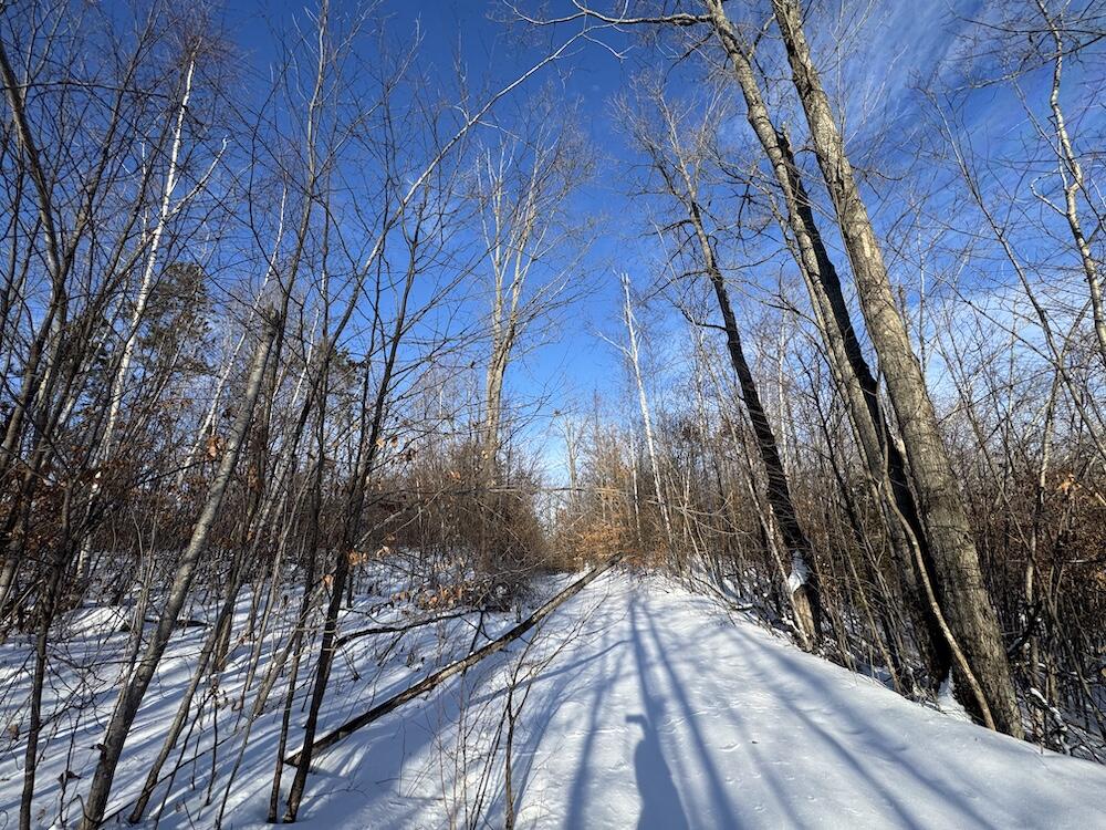 72-acres West Miller Road Mio, MI 48647 - Photo 46 of 65 IMG_9275