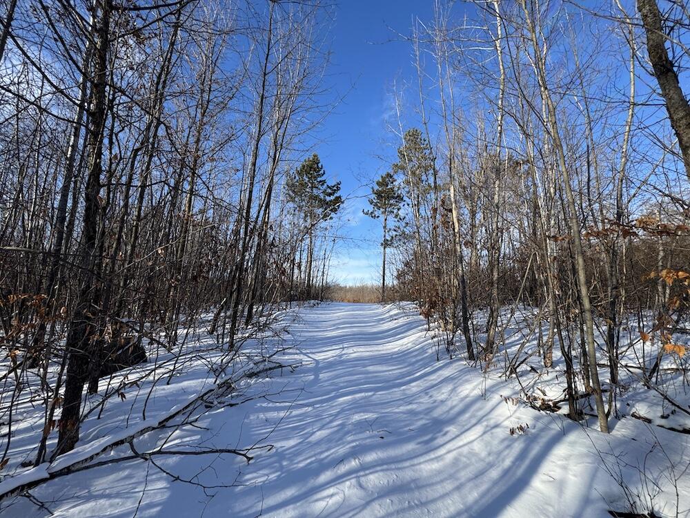 72-acres West Miller Road Mio, MI 48647 - Photo 47 of 65 IMG_9276