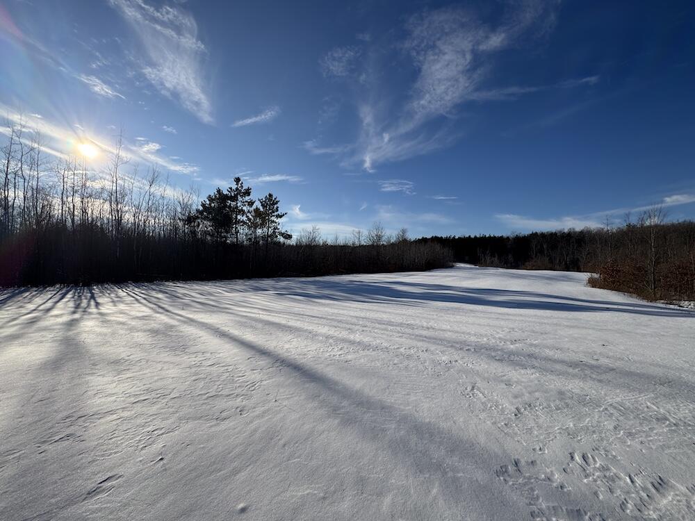 72-acres West Miller Road Mio, MI 48647 - Photo 49 of 65 IMG_9278