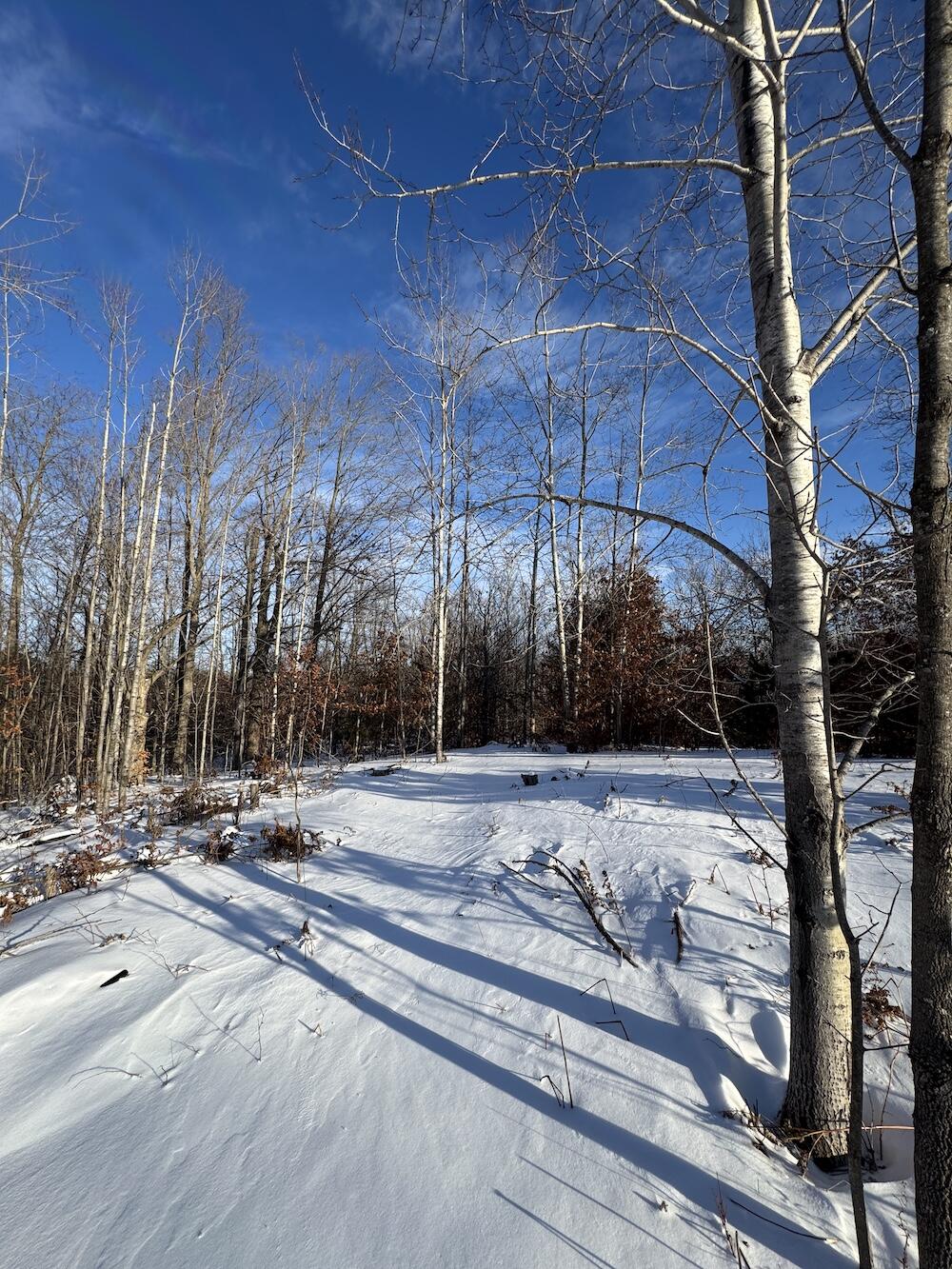72-acres West Miller Road Mio, MI 48647 - Photo 50 of 65 IMG_9279