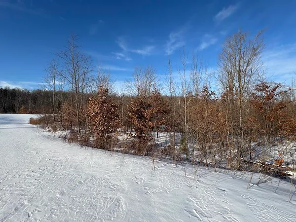 $239,000 | 72-acres West Miller Road, Mio, MI 48647