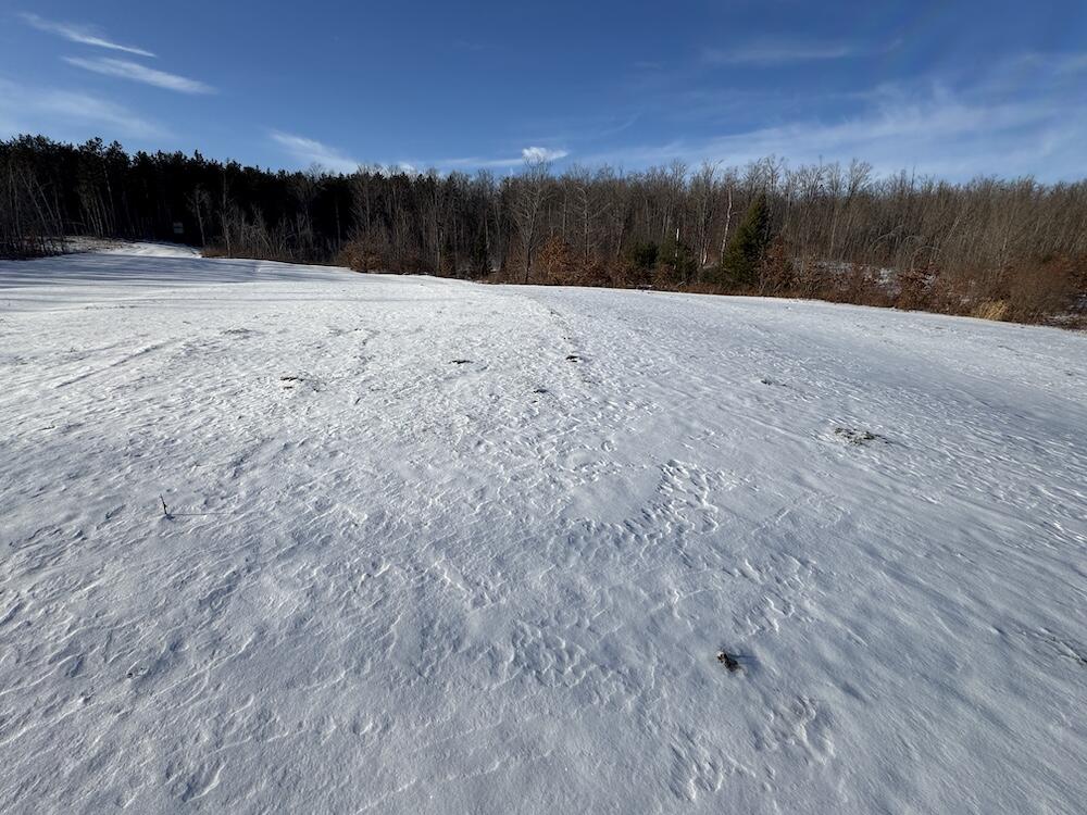 72-acres West Miller Road Mio, MI 48647 - Photo 53 of 65 IMG_9282