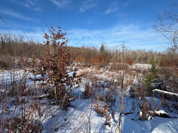 $239,000 | 72-acres West Miller Road, Mio, MI 48647