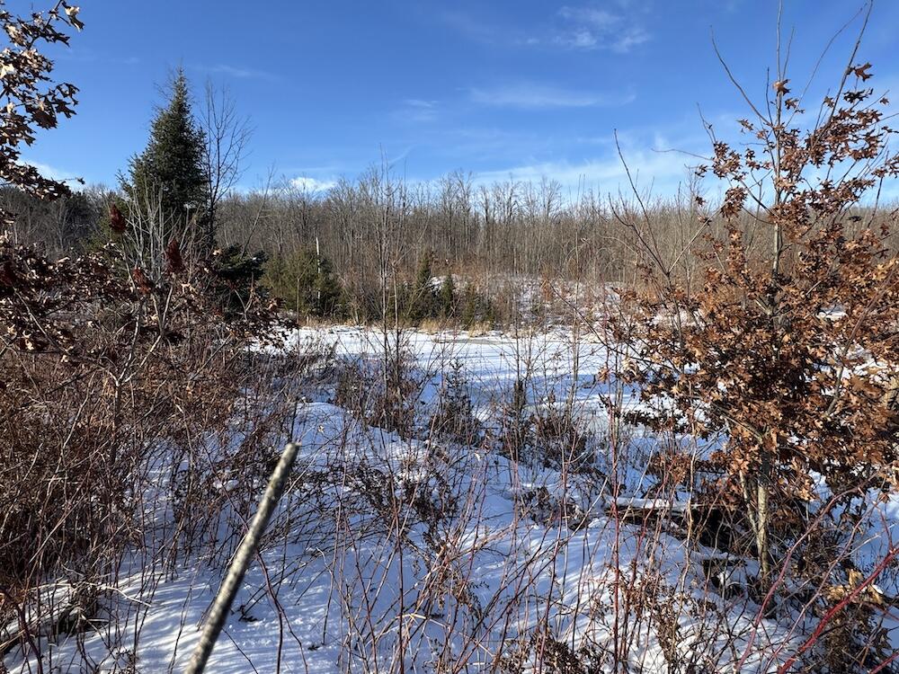 72-acres West Miller Road Mio, MI 48647 - Photo 55 of 65 IMG_9284