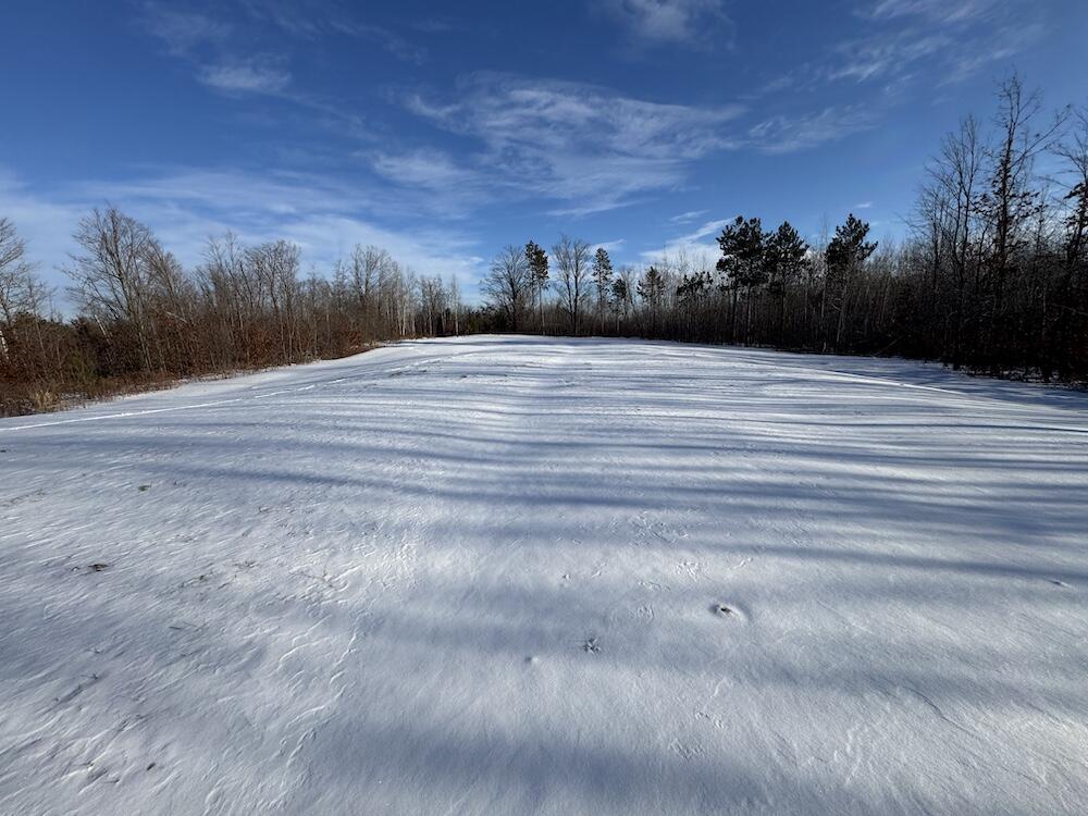 72-acres West Miller Road Mio, MI 48647 - Photo 56 of 65 IMG_9285
