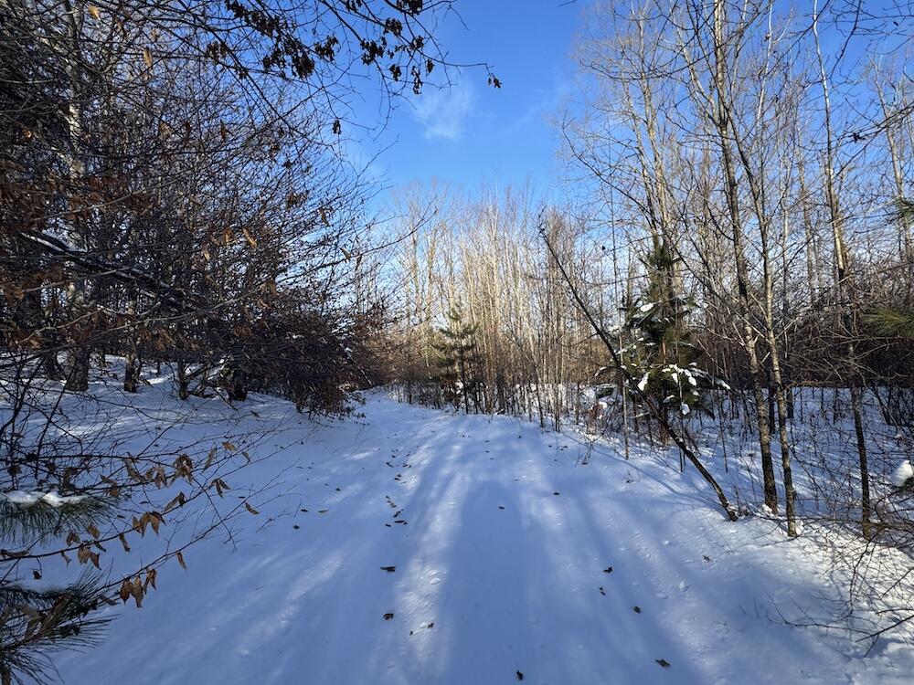 72-acres West Miller Road Mio, MI 48647 - Photo 57 of 65 IMG_9286