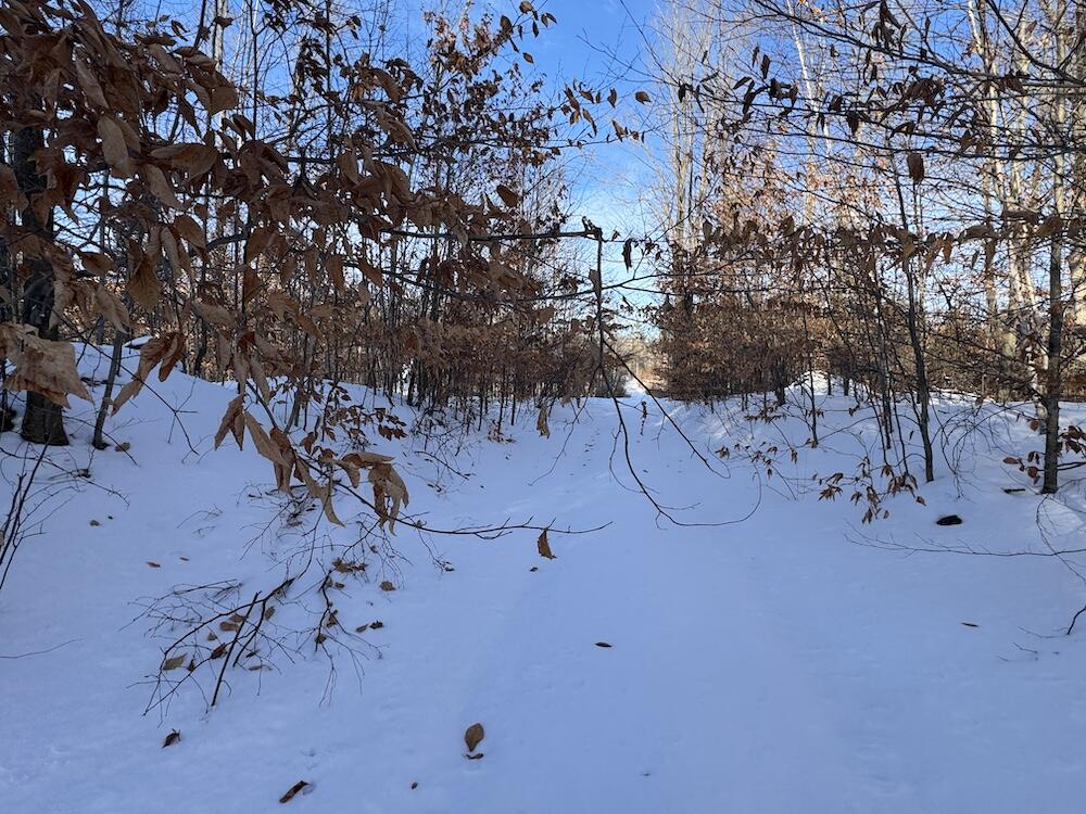 72-acres West Miller Road Mio, MI 48647 - Photo 59 of 65 IMG_9288