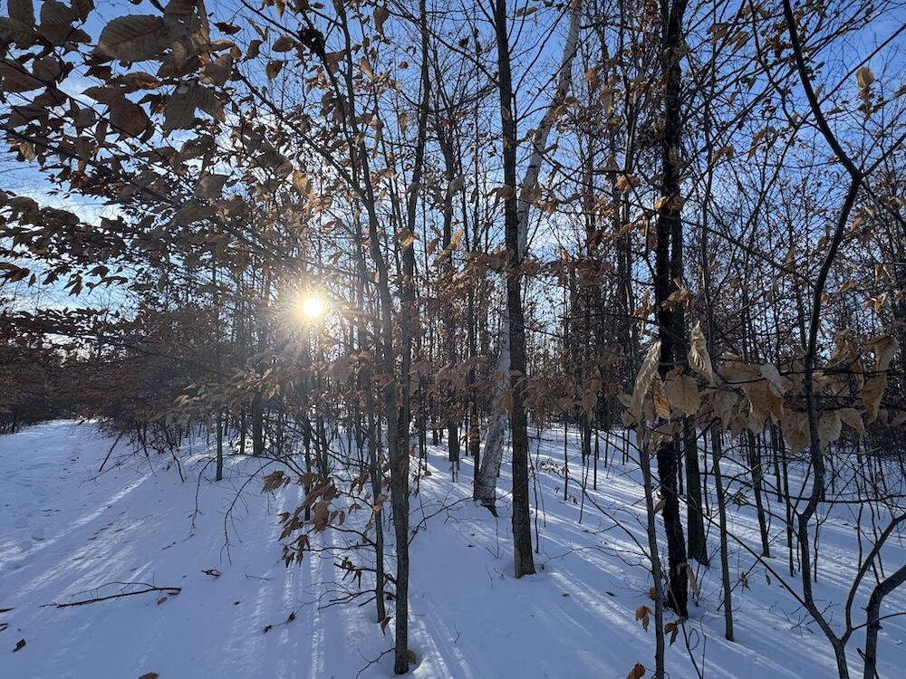 72-acres West Miller Road Mio, MI 48647 - Photo 60 of 65 IMG_9289
