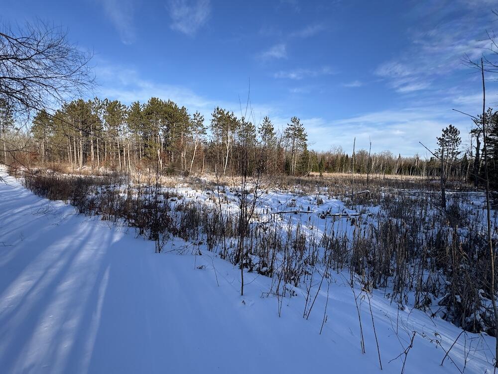 72-acres West Miller Road Mio, MI 48647 - Photo 61 of 65 IMG_9290