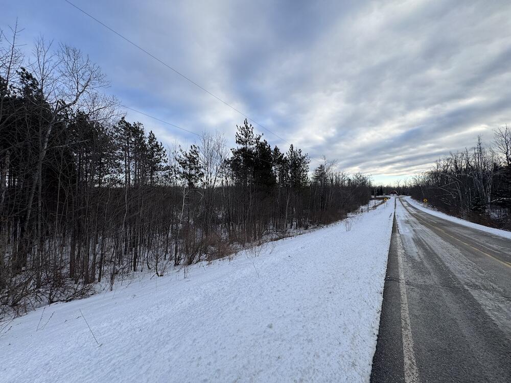 72-acres West Miller Road Mio, MI 48647 - Photo 65 of 65 IMG_9370