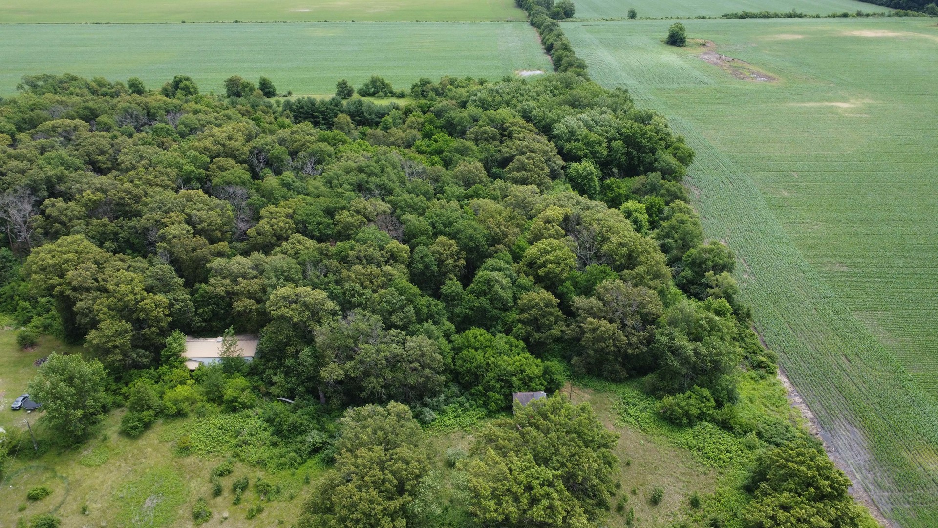 2658 North 2500 East Road Donovan, IL 60931 - Photo 4 of 13