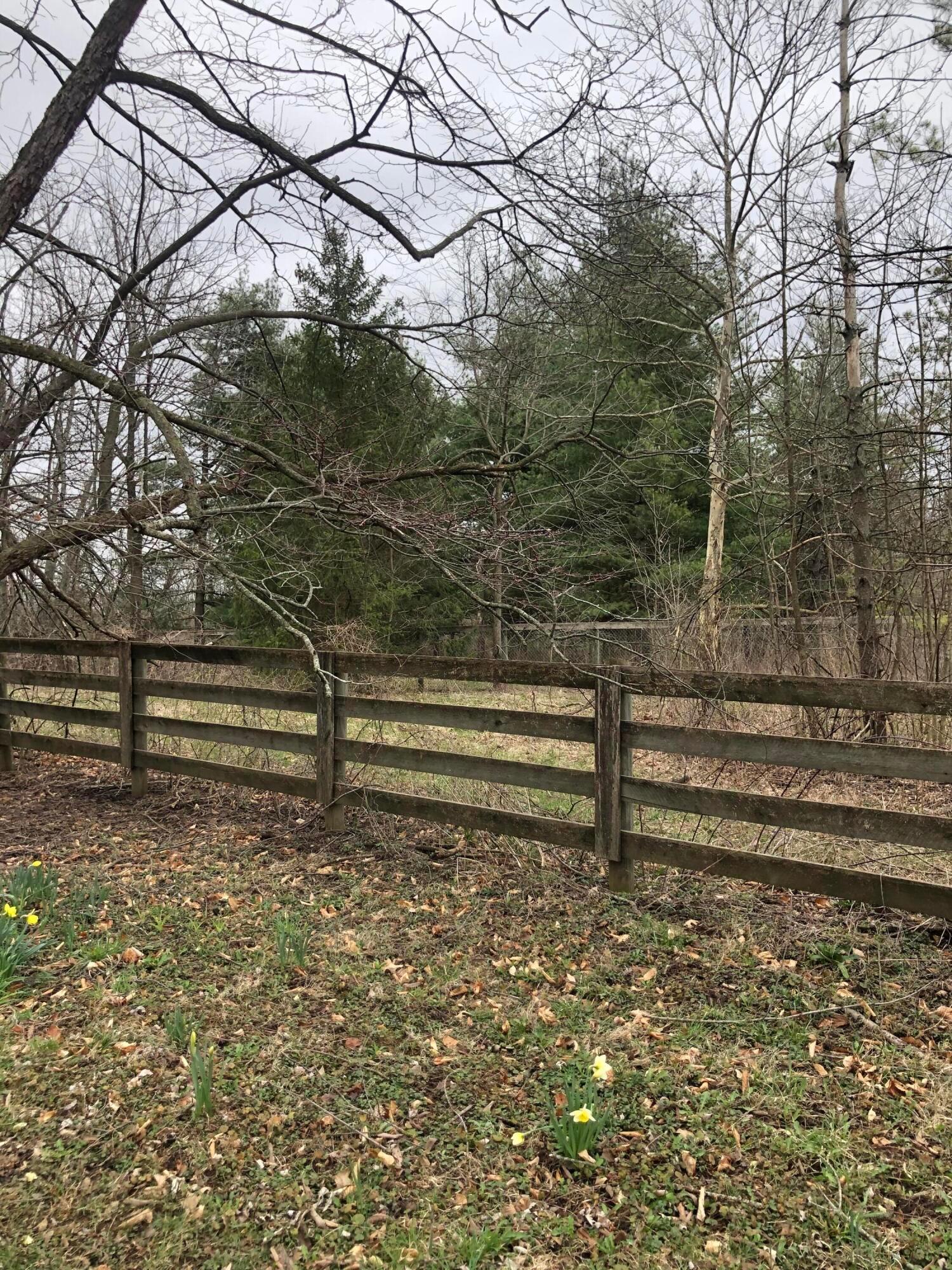 8500 McKitrick Road Plain City, OH 43064 - Photo 5 of 8 Land 3
