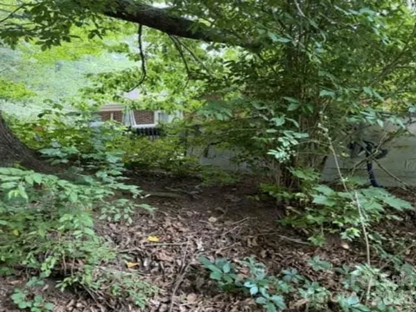 $391,200 | 3 South And T Spirit Drive, Candler, NC 28715