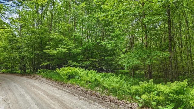 $245,000 | Tbd Tbd Road, Plainfield, VT 05667