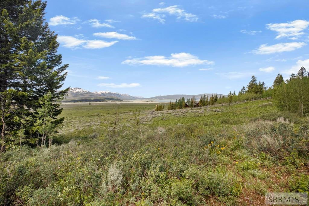 5128 West Rees Drive Island Park, ID 83429 - Photo 13 of 15