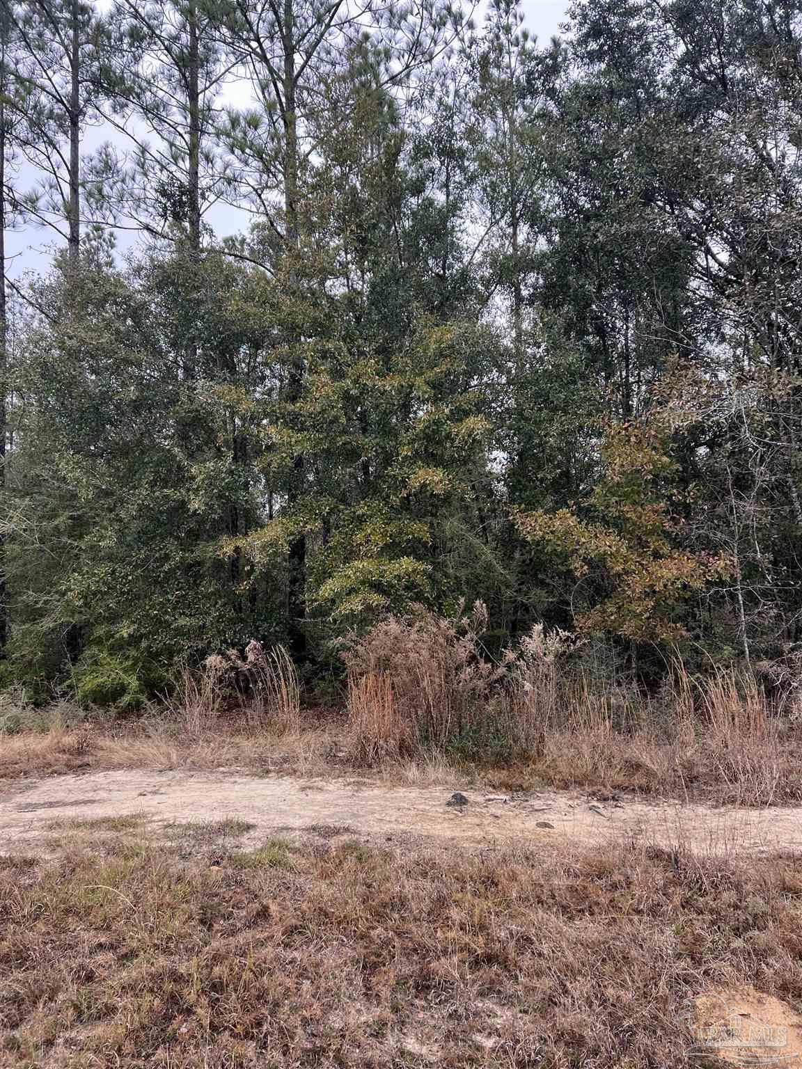 Lot 9 Pond Creek Road Milton, FL 32570 - Photo 3 of 4 Gallery Image 3