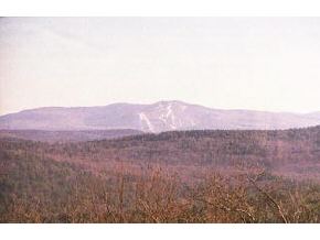 168 Top O World Road Grantham, NH 03753 - Photo 1 of 3