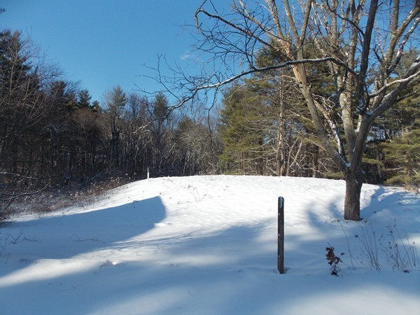 197 Littleton Road Harvard, MA 01451 - Photo 9 of 9 a view of outdoor space