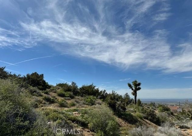 0 Snow Valley Road Pinon Hills, CA 92372 - Photo 2 of 8 a view of a lake
