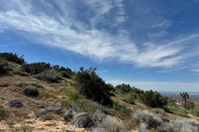 0 Snow Valley Road Pinon Hills, CA 92372 - Photo 8 of 8 a view of a bunch of trees in a field