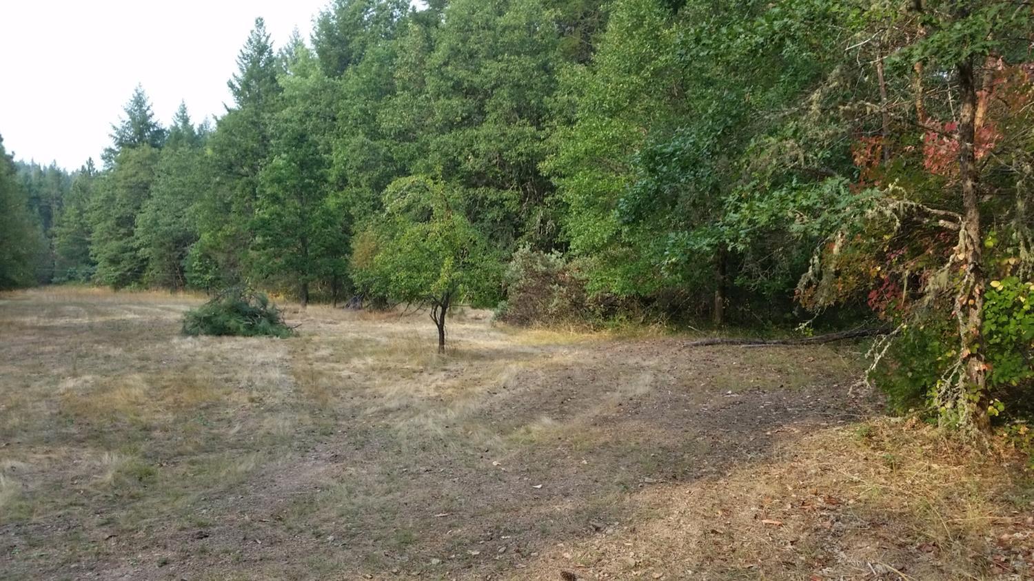 1450 Reeves Creek Road Selma, OR 97538 - Photo 2 of 6 Additional Photo