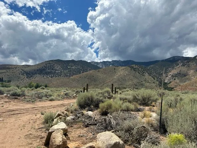 a view of a yard with mountains in the background