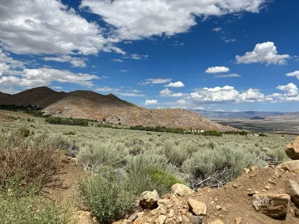 a view of a dry yard with green space