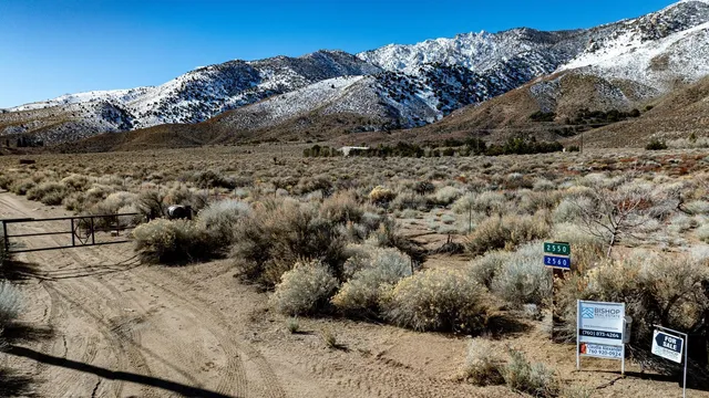 a view of outdoor space and tree