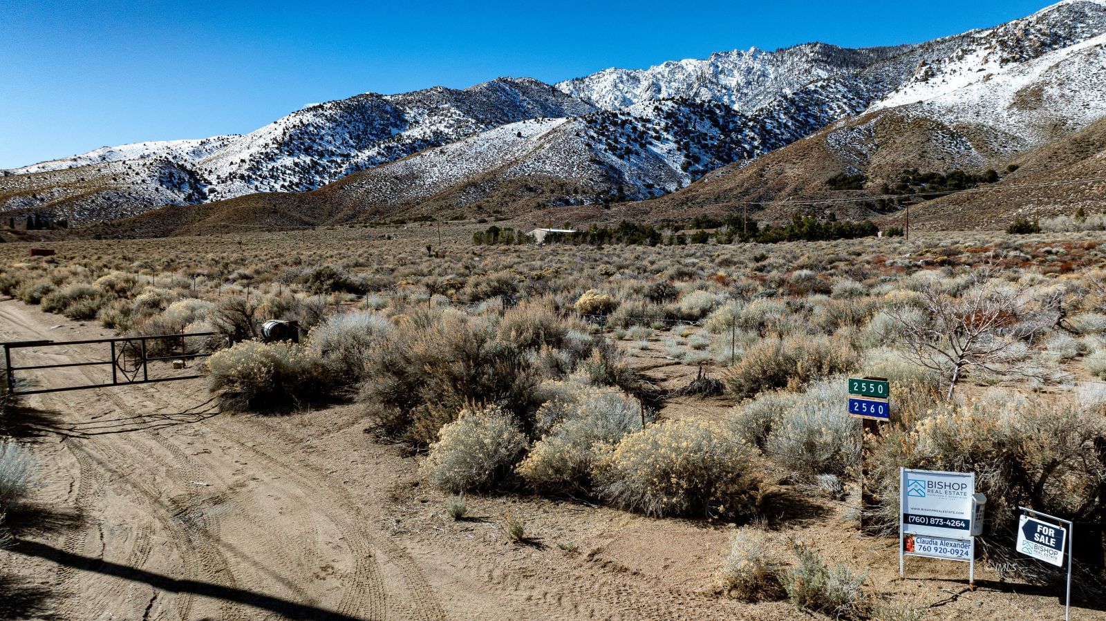 2550 Sage Flats Road Olancha, CA 93549 - Photo 3 of 14 a view of outdoor space and tree