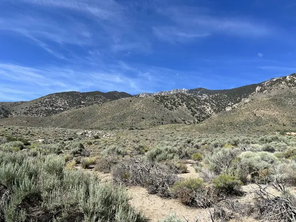 a view of a field
