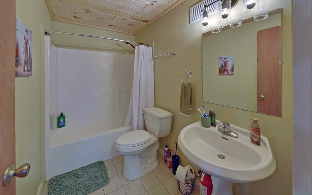 566 Mountain View Circle Blue Ridge, GA 30513 - Photo 34 of 47 Gallery Image 34