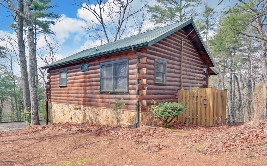 566 Mountain View Circle Blue Ridge, GA 30513 - Photo 45 of 47 Gallery Image 45