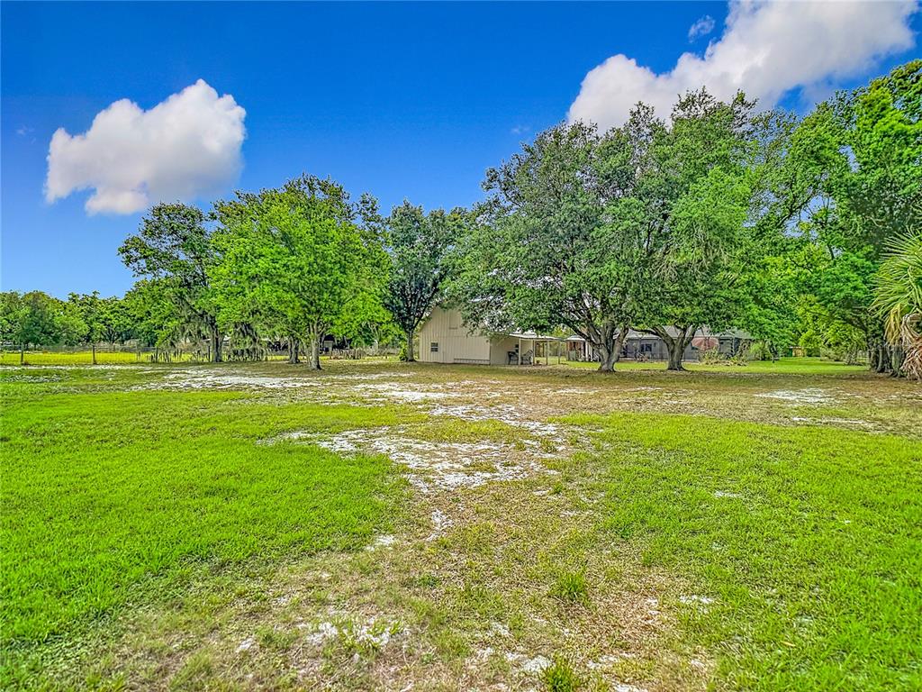 216 Corbett Road Lithia, FL 33547 - Photo 92 of 95