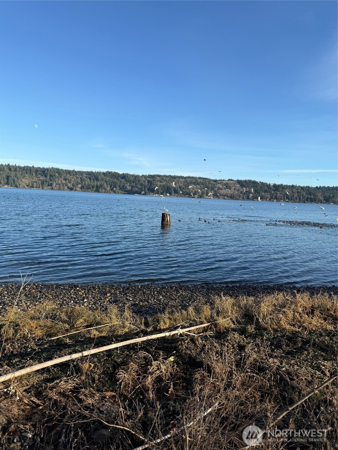5280 Illahee Road Northeast Bremerton, WA 98311 - Photo 27 of 30 a view of a terrace
