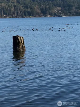a view of a lake with a mountain
