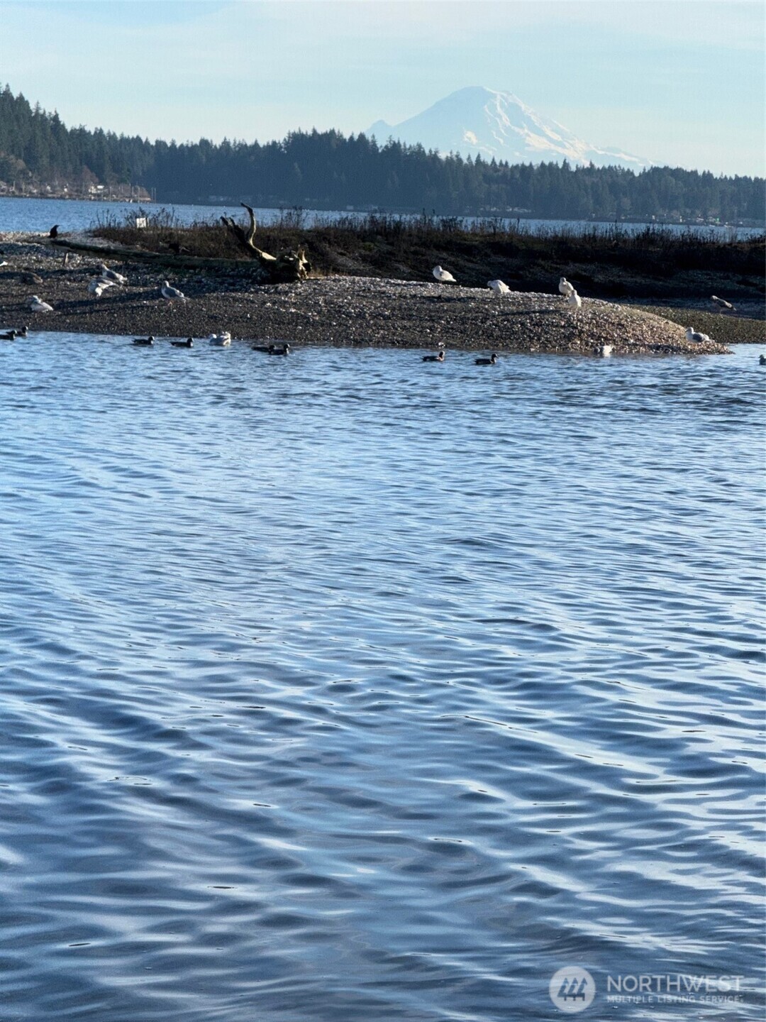 5280 Illahee Road Northeast Bremerton, WA 98311 - Photo 30 of 30 a view of a lake with a mountain