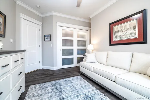 a living room with furniture cabinets and a rug