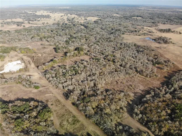 a view of beach and ocean