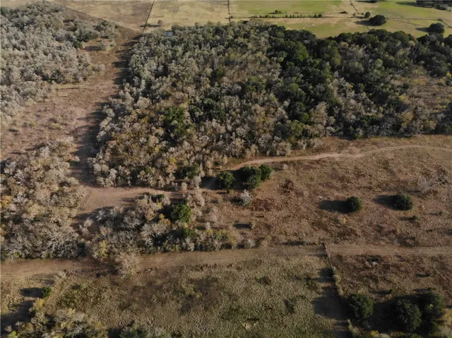 a view of a field with trees