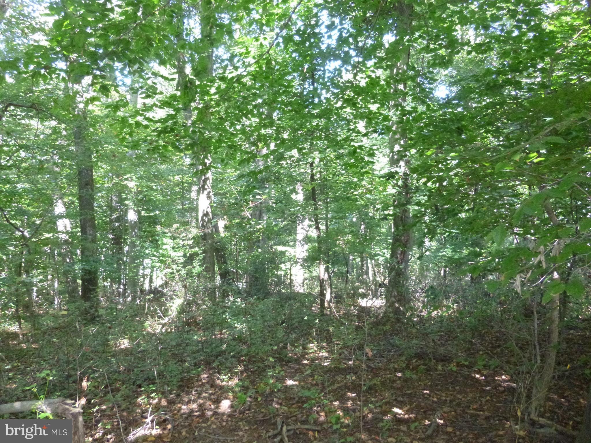 1011 St Matthews Road Chester Springs, PA 19425 - Photo 11 of 13