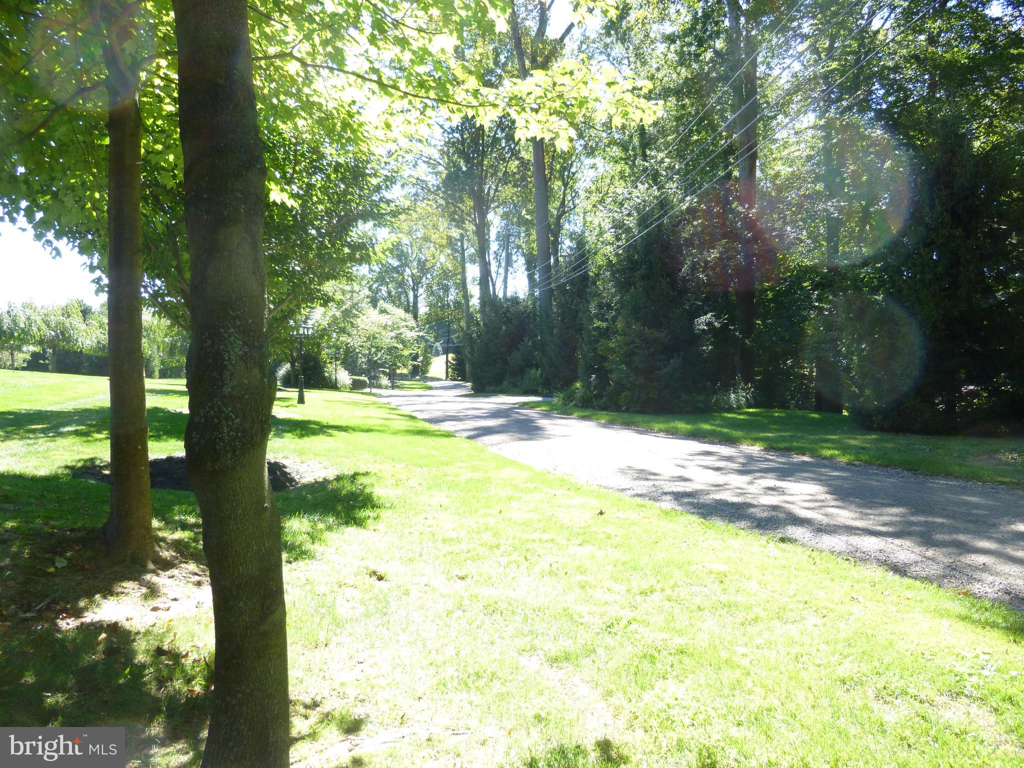 1011 St Matthews Road Chester Springs, PA 19425 - Photo 4 of 13 street view from the front of lots