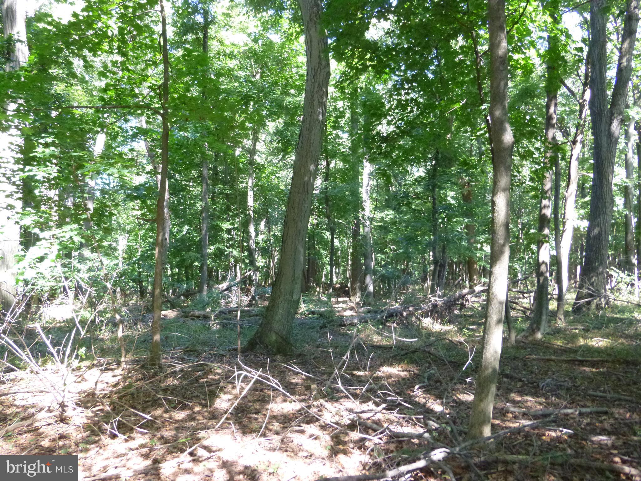 1011 St Matthews Road Chester Springs, PA 19425 - Photo 8 of 13